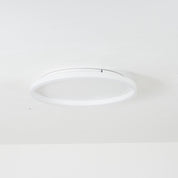Arisha Modern LED Ceiling Light in Metal