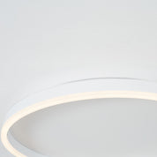 Arisha Modern LED Ceiling Light in Metal
