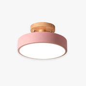 Quinn Modern LED Ceiling Light