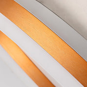 Arisha Modern LED Ceiling Light in Metal