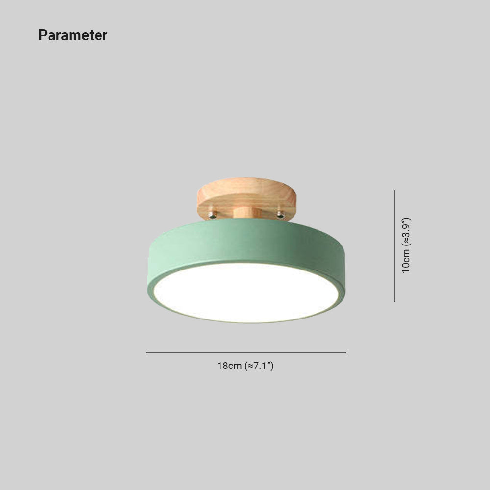 Quinn Modern LED Ceiling Light