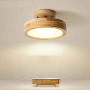 Quinn Modern LED Ceiling Light