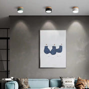 Cylindra - Nordic LED Ceiling Light