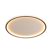 Scandinavian Style LED Ceiling Light with Remote Control