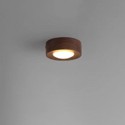 WoodAura - Walnut Wood Ceiling Light with LED Spotlight