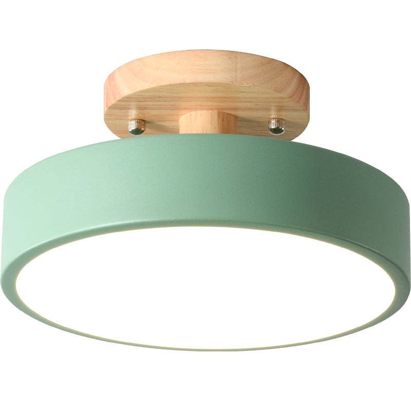 Quinn Modern LED Ceiling Light