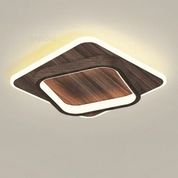 Modern LED Ceiling Light for Living Room and Bedroom
