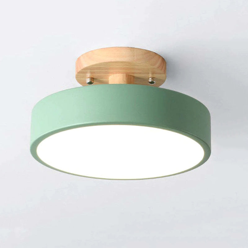 Quinn Modern LED Ceiling Light