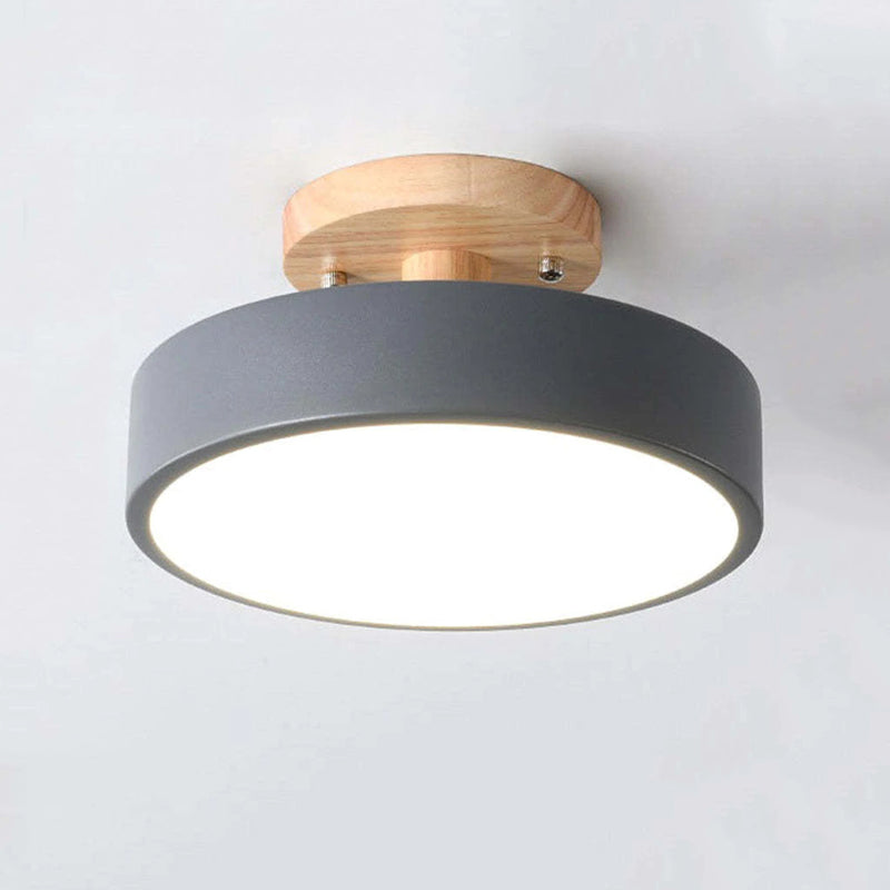 Quinn Modern LED Ceiling Light