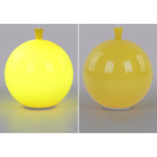 Modern LED Ceiling Light Mira