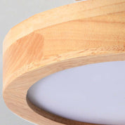Quinn Modern LED Ceiling Light
