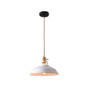 Morandi Modern LED Pendant Light in Metal for Colourful Living