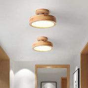 Quinn Modern LED Ceiling Light