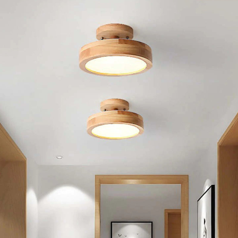 Quinn Modern LED Ceiling Light