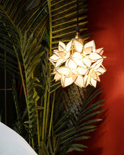 EclatNature - Natural Pendant Light