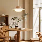 Creative Pendant Light in the Shape of a Rice Bowl