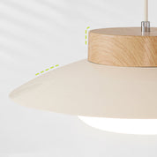 Creative Pendant Light in the Shape of a Rice Bowl