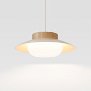 Creative Pendant Light in the Shape of a Rice Bowl