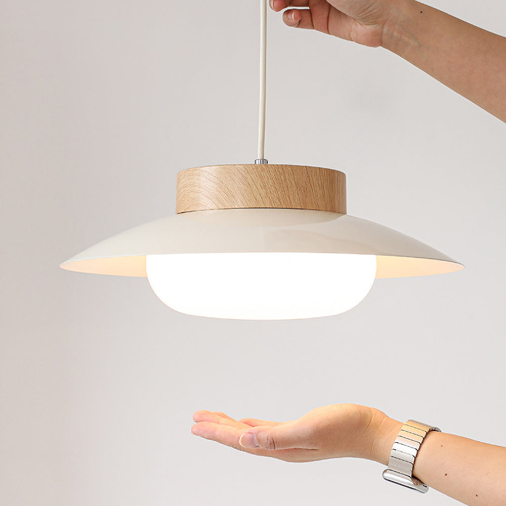 Creative Pendant Light in the Shape of a Rice Bowl