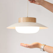 Creative Pendant Light in the Shape of a Rice Bowl