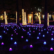 EnchantedCaps - Mushroom String Lawn Lights
