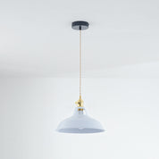 Morandi Modern LED Pendant Light in Metal for Colourful Living