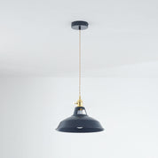 Morandi Modern LED Pendant Light in Metal for Colourful Living