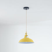 Morandi Modern LED Pendant Light in Metal for Colourful Living