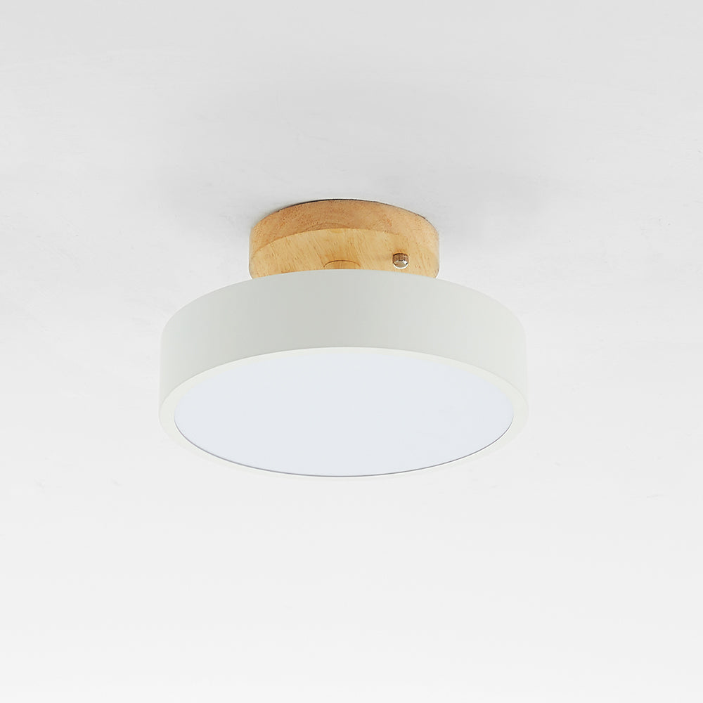 Quinn Modern LED Ceiling Light
