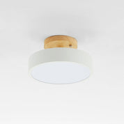 Quinn Modern LED Ceiling Light