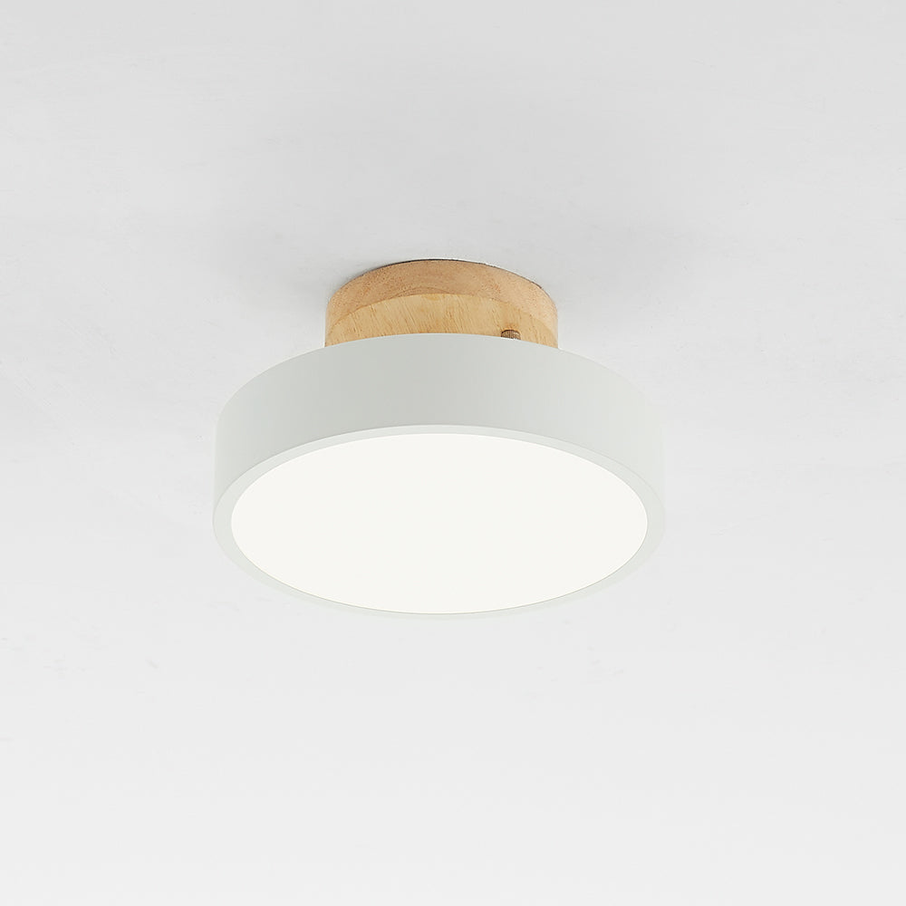 Quinn Modern LED Ceiling Light