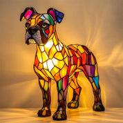 Excellent Boxer