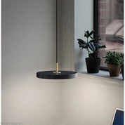 PolarPendulum - Scandinavian Pendant Lights