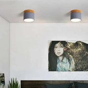 Cylindra - Nordic LED Ceiling Light