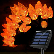 Fruite - Solar Lights C6 for Christmas