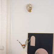 Shell - Soft and Refined Lighting