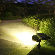LumiRoot - Solar Lawn Lamp