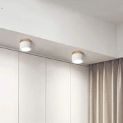 Cylindra - Nordic LED Ceiling Light