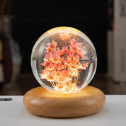 LED Night Light with Crystal Ball