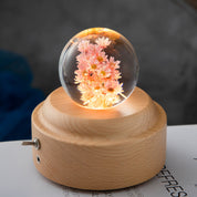LED Night Light with Crystal Ball
