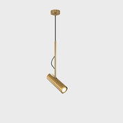 Spot Light Pendant Lamp Nordic Metal LED Ceiling Light