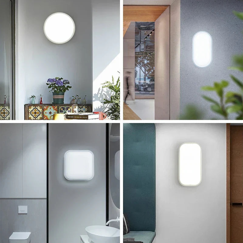 SealBright - Moisture-Resistant Ceiling Light