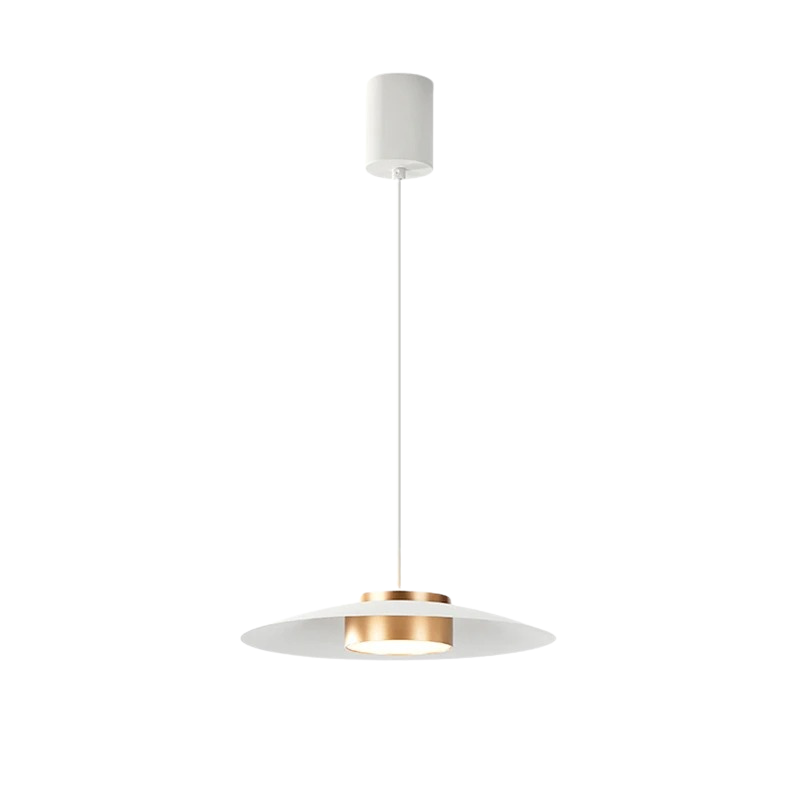 Modern Black Dining Room Pendant Light