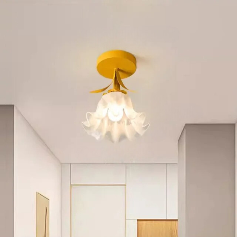 French Ceiling Lamp - Warm Decorative Lighting