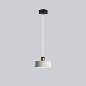 FormaLuxe - Modern Metal and Resin Chandelier