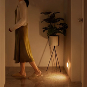 Circly Motion Sensor Light