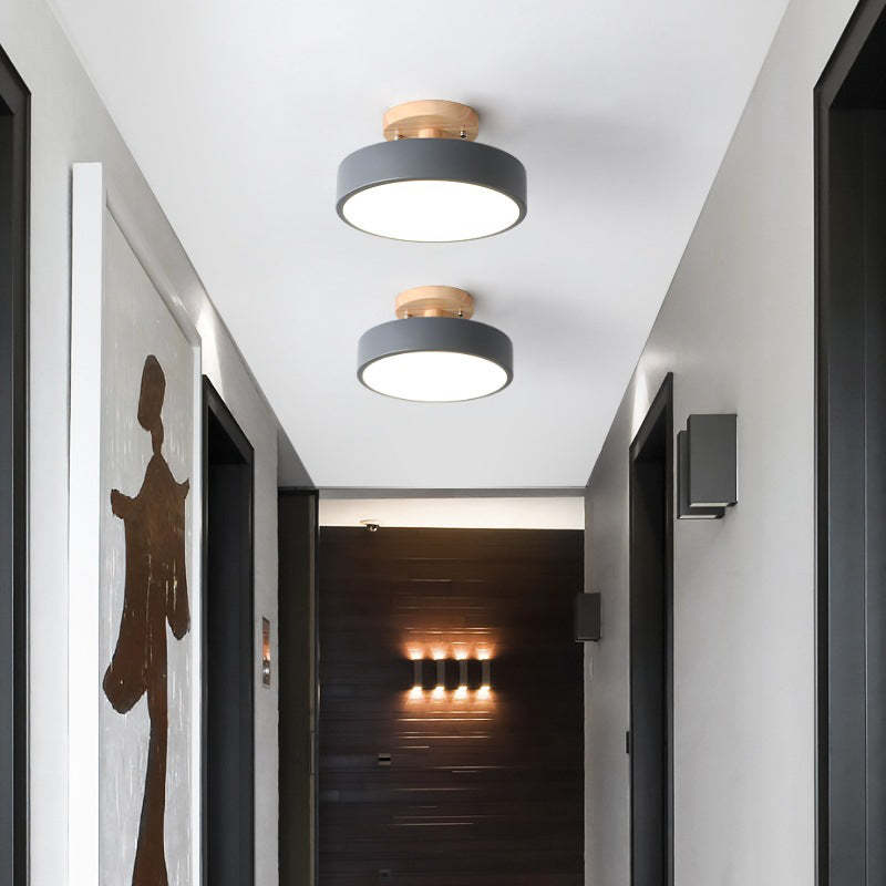 Quinn Modern LED Ceiling Light