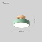 Quinn Modern LED Ceiling Light