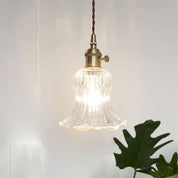 Elegant Pendant Light - Glass Wall Lamp for Restaurant