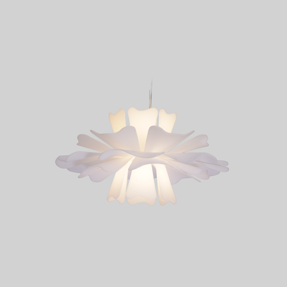 2_788096dc-59b1-45a0-91a1-1aee36c2b4d3.png